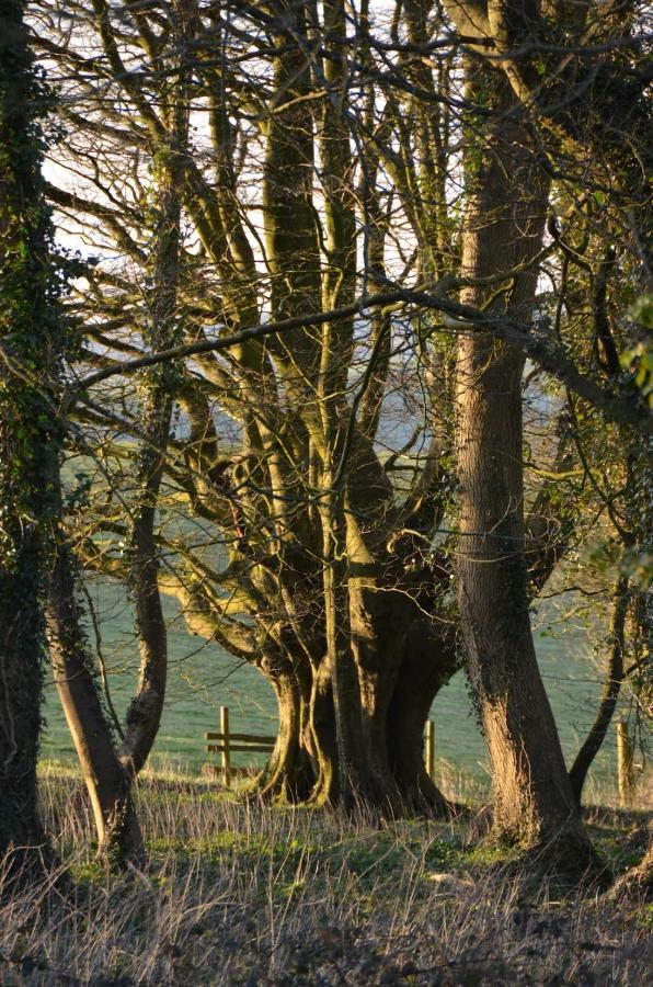 Top Parts Bed & Breakfast Abbotsbury Buitenkant foto