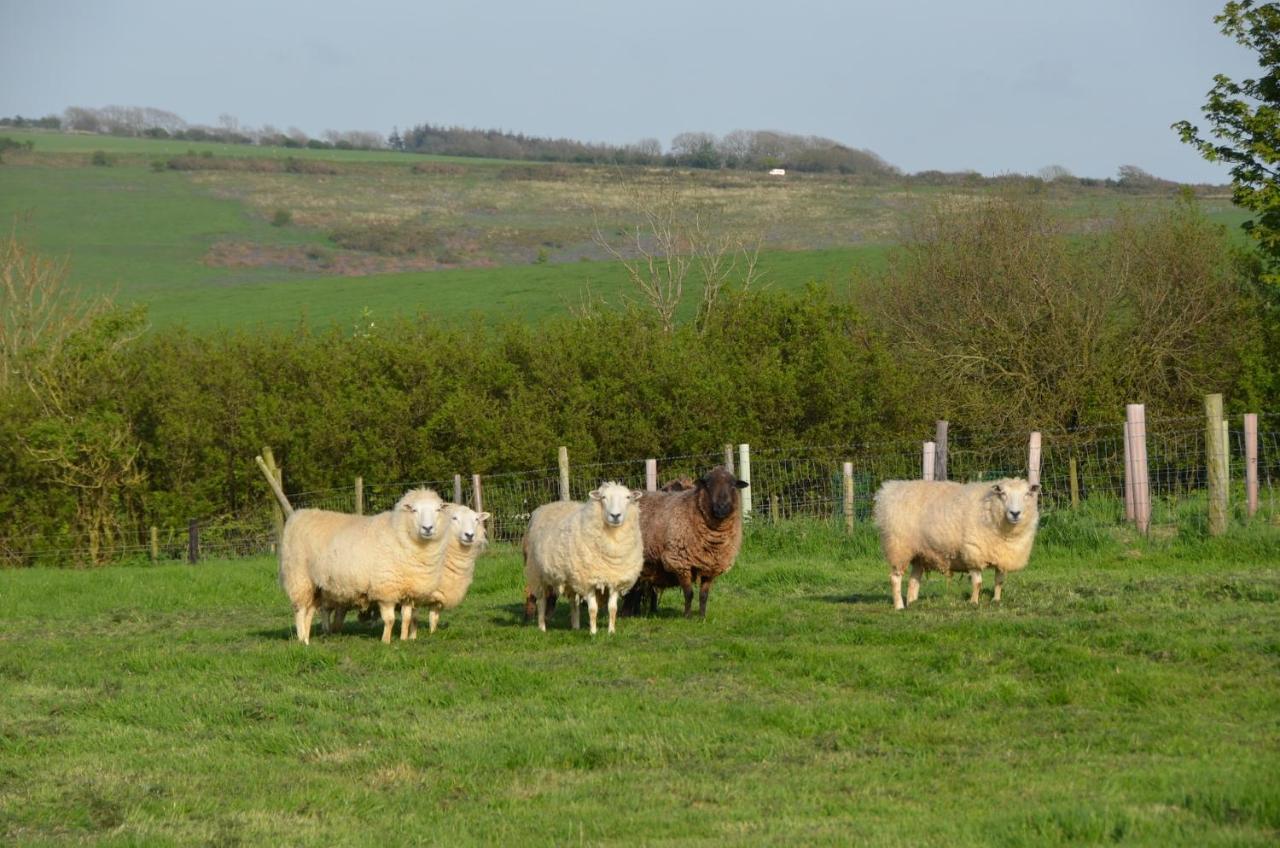 Top Parts Bed & Breakfast Abbotsbury Buitenkant foto