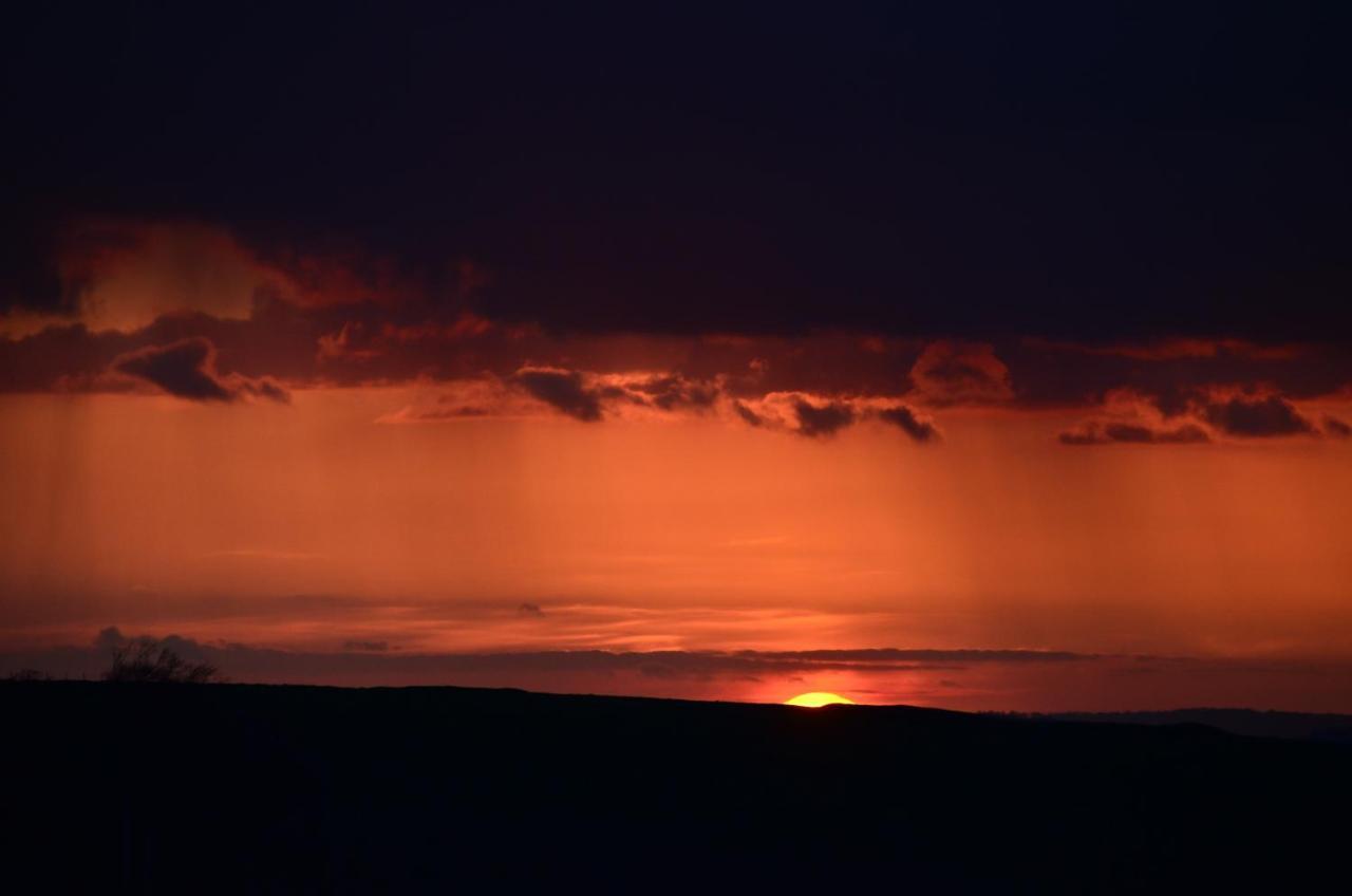 Top Parts Bed & Breakfast Abbotsbury Buitenkant foto