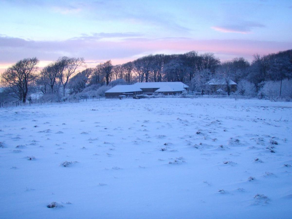 Top Parts Bed & Breakfast Abbotsbury Buitenkant foto